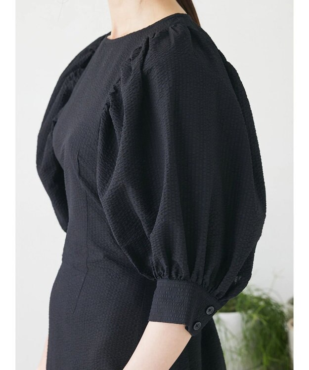 Green Parks AnriettMusee バックカットワークワンピース Black