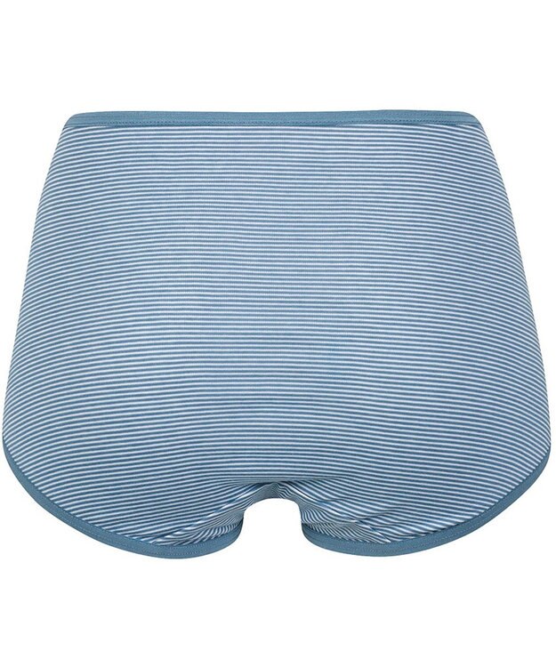 Wing ショーツ 綿混(身生地部) ここちよいフィット感 ムレにくい(身生地部) 【デイリーフィット 綿混ボーダー】 はきこみ丈ふかめ EC3650 ウイング／ワコール ブルー