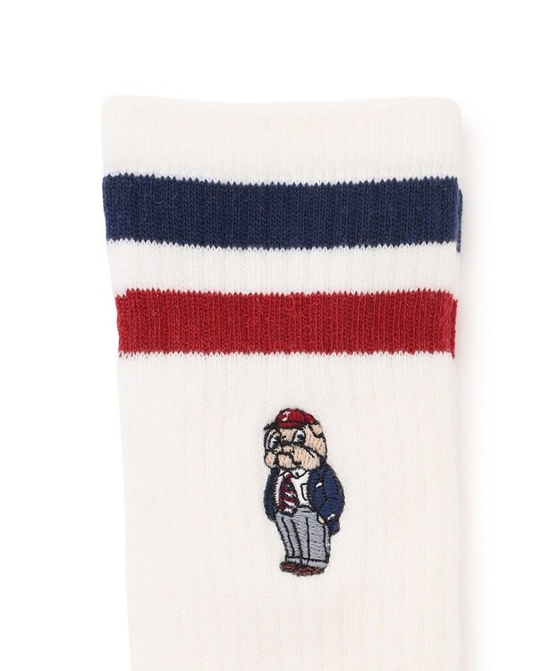 J.PRESS MEN 【BULLDOG BOY】リブライン ソックス ワイン系