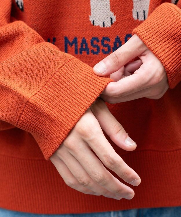 WEGO アニマルジャガードニットプルオーバー オレンジ