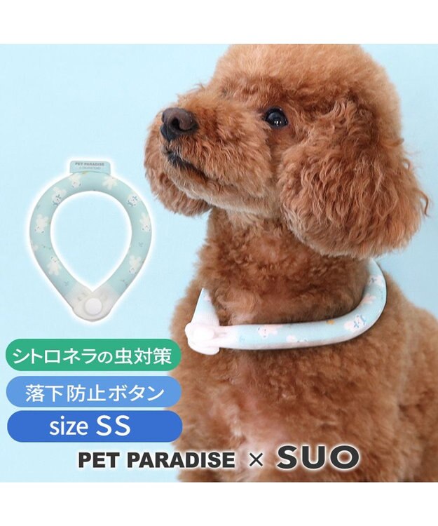 PET PARADISE ペットパラダイス 28℃クールリング SUO 《くま柄》 〔ＳＳ〕 小型犬 くまちゃん