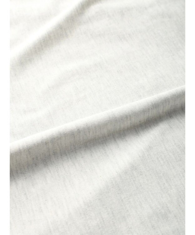 Green Parks ムジークタイガー／手書き風刺しゅうＴシャツ Oatmeal