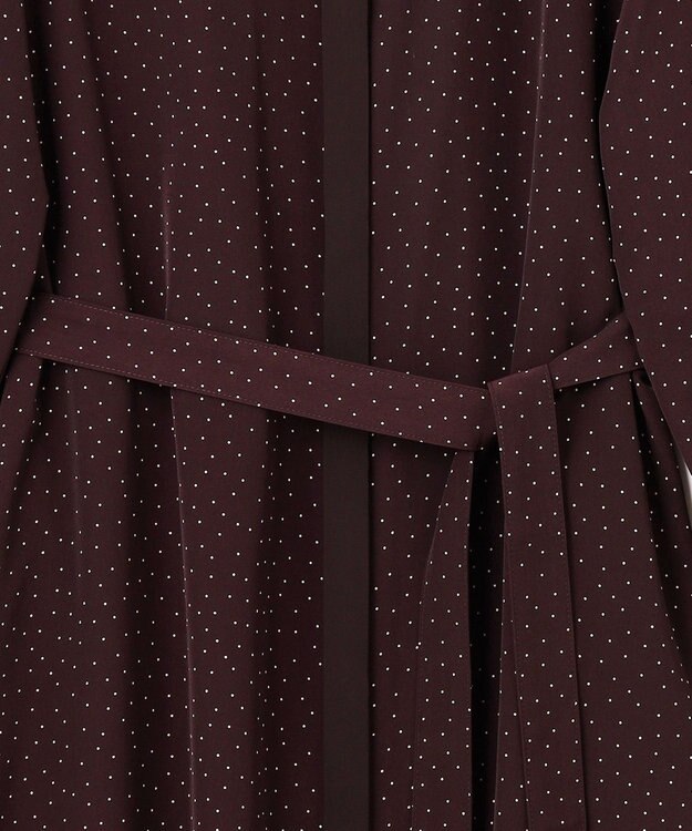 J.PRESS LADIES 【洗える】フェミニッシュパウダー dots ワンピース ワイン系5