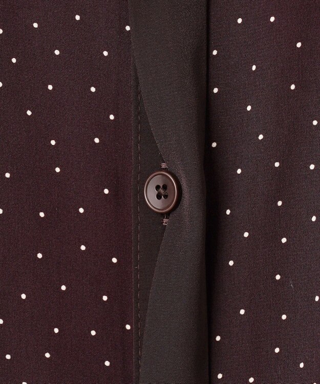 J.PRESS LADIES 【洗える】フェミニッシュパウダー dots ワンピース ワイン系5