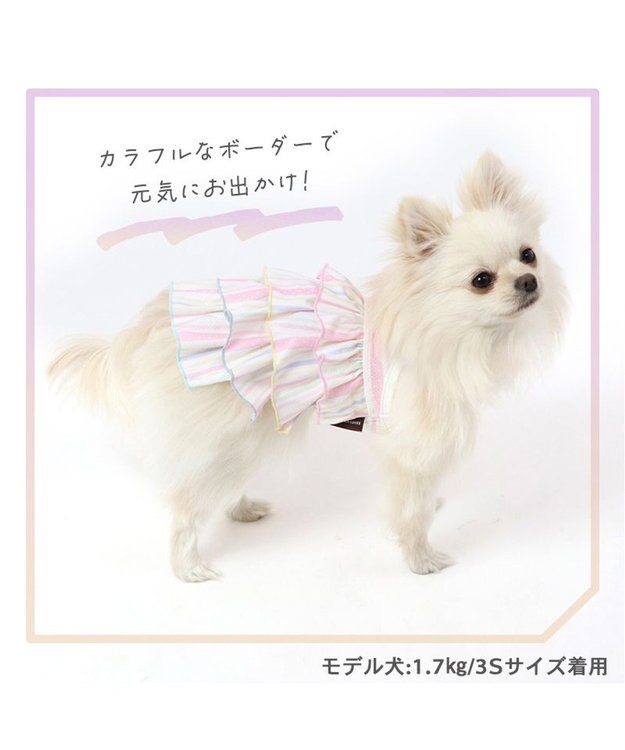 PET PARADISE 犬の服 夏 ひんやり クール メッシュ 接触冷感 虫よけ ボーダーキャミソール 【小型犬】クールマックスエコメイド ピンク（淡）