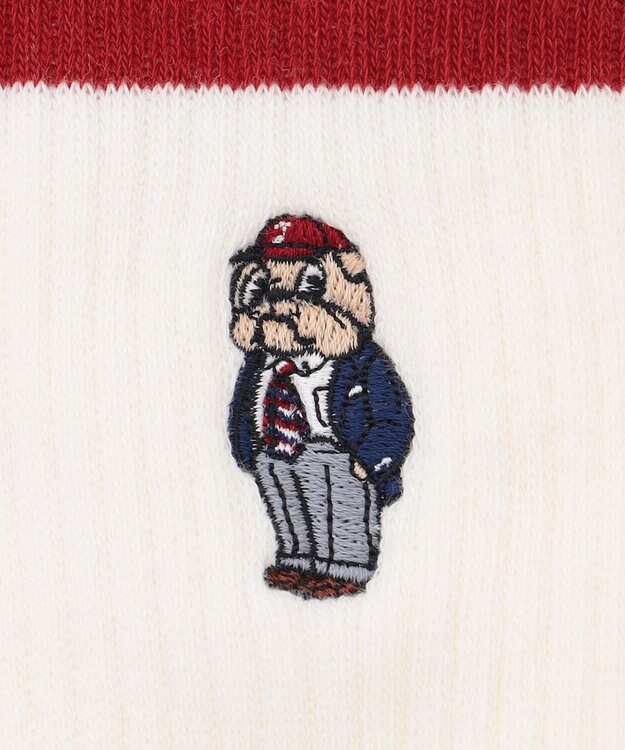 J.PRESS MEN 【BULLDOG BOY】リブライン ソックス ワイン系