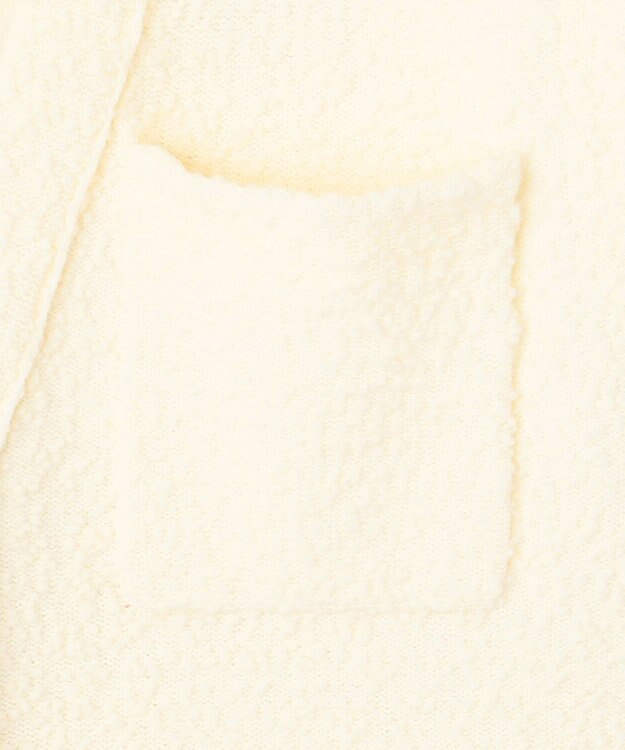 ICB L ブークレツイード ニットジレ オフホワイト系