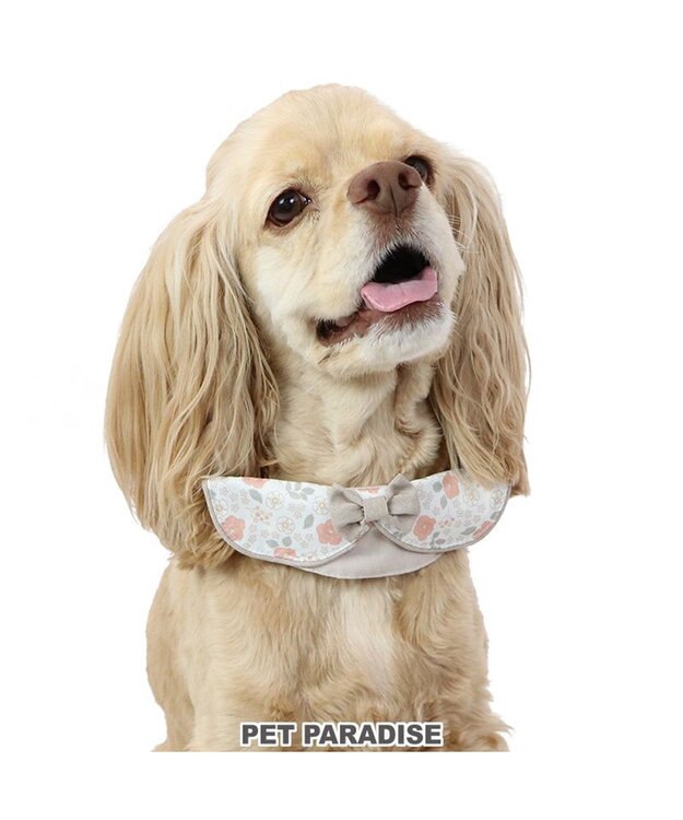 PET PARADISE 花柄 襟付首輪 おしゃれ 【ＳM】 中型犬 茶系