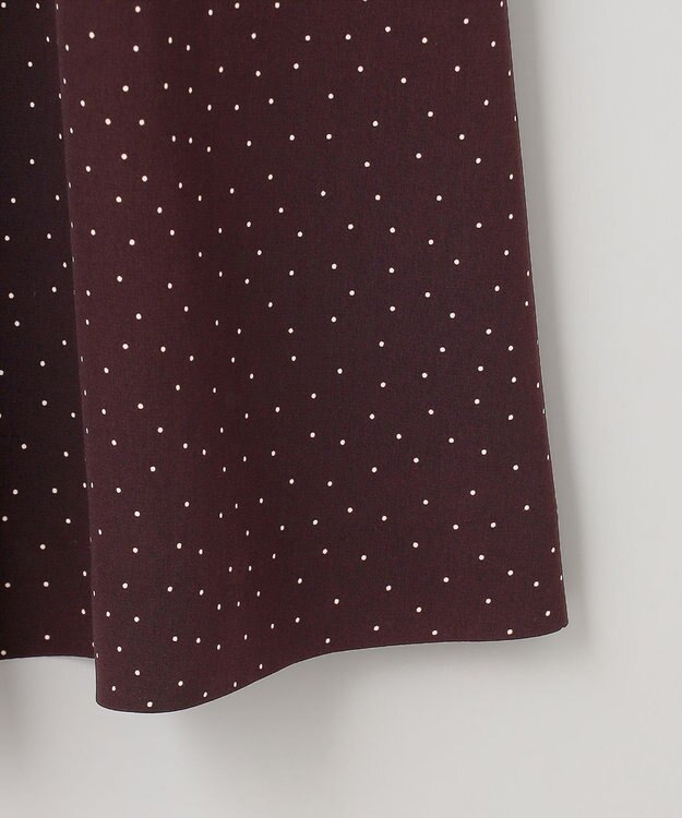 J.PRESS LADIES 【洗える】フェミニッシュパウダー dots ワンピース ワイン系5