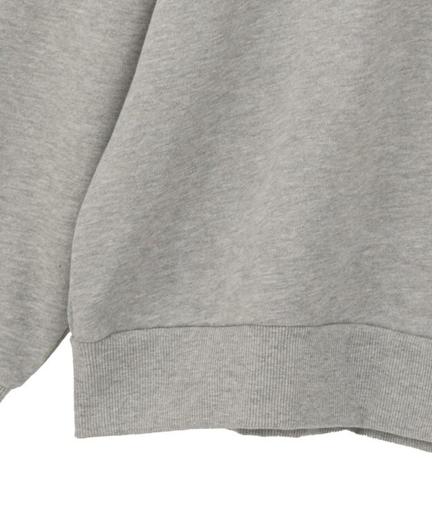 Green Parks ＦＡＮＴＡＳＩＡ／モノクロフォトプリントスウェット Gray Mixture