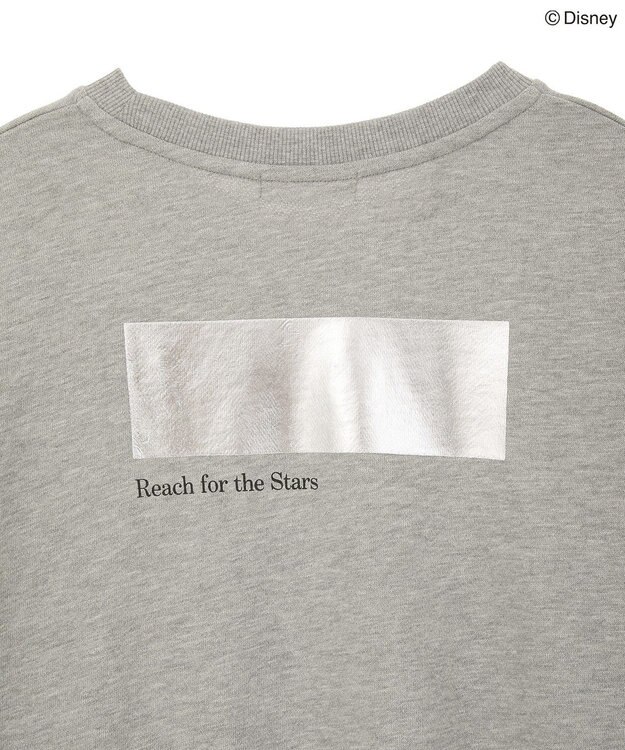 Green Parks ＦＡＮＴＡＳＩＡ／モノクロフォトプリントスウェット Gray Mixture