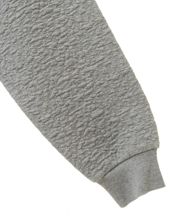 AMERICAN HOLIC フクレジャガードプルオーバー Gray Mixture