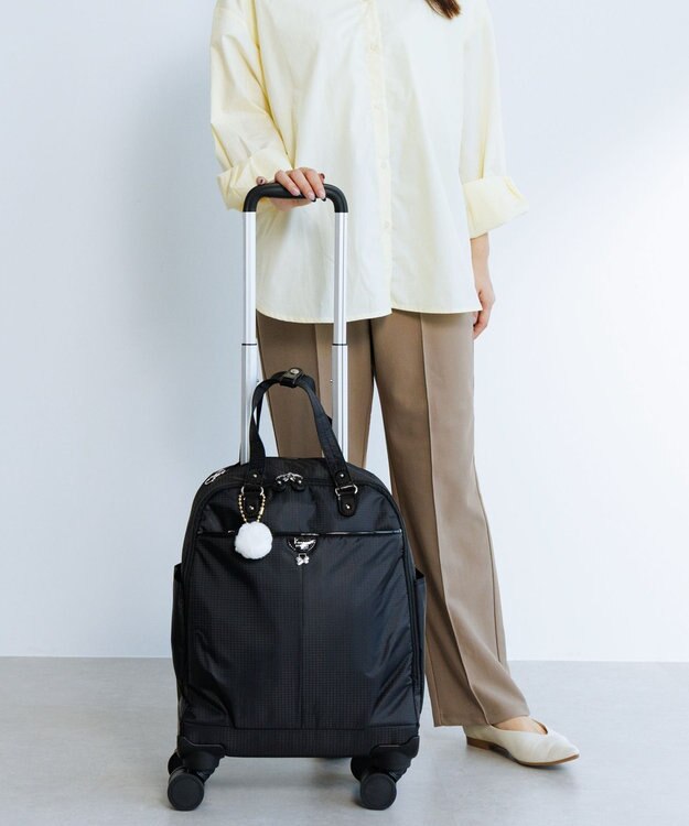 ACE BAGS & LUGGAGE Kanana project COLLECTION シェリTR スーツケース  2～3泊 機内持込 キャスターストッパー 17951 カナナプロジェクト コレクション ブラック