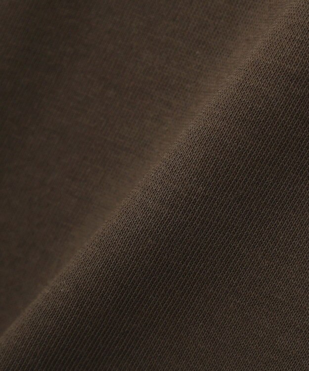 AMERICAN HOLIC 【マルチ機能】カレッジロゴＴシャツ Brown