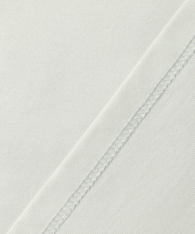 J.PRESS LADIES 【一枚で着映え】シアーエンブロイダリー カットソー ライトミント系