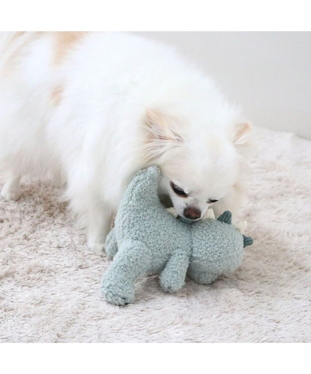 PET PARADISE ペットパラダイス 恐竜くん トイ 小型犬 恐竜くん