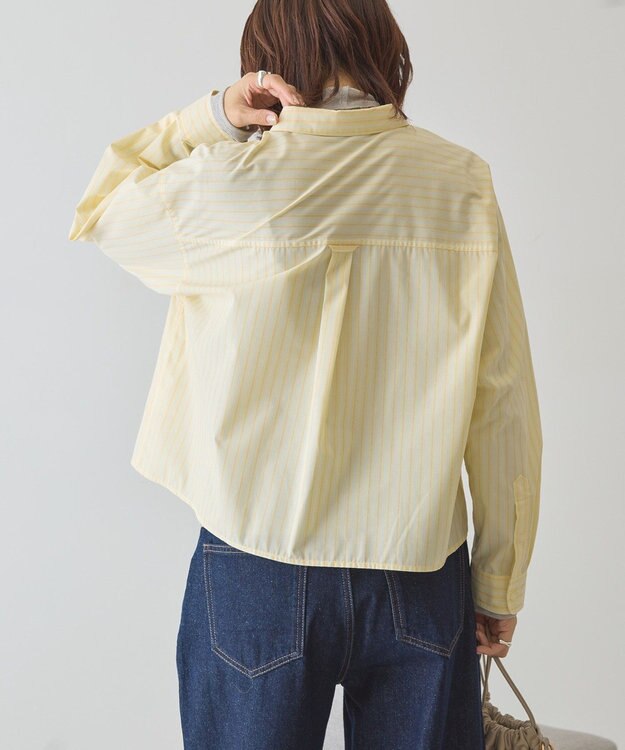 AMERICAN HOLIC 【イージーケア】ショート丈ストライプシャツ Stripe Yellow
