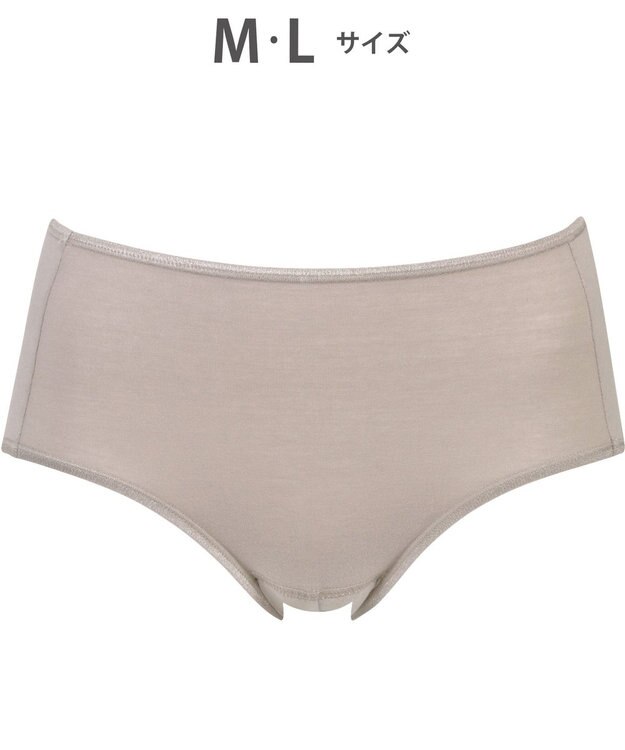 Wing サニタリーショーツ　羽根付きナプキン対応　はきこみ丈ふつう　ウイング／ワコール　EC8500 ブラウン