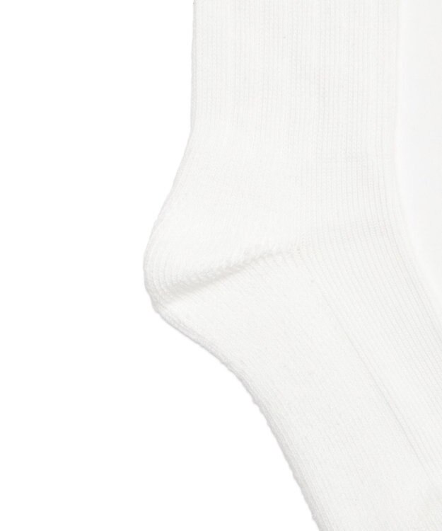 WEGO ローゲージラインソックス（R）　 ホワイト