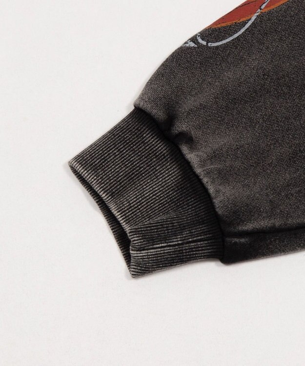 WEGO 【ユニセックス着用ITEM】ブリーチグラフィックZIPパーカー 柄1