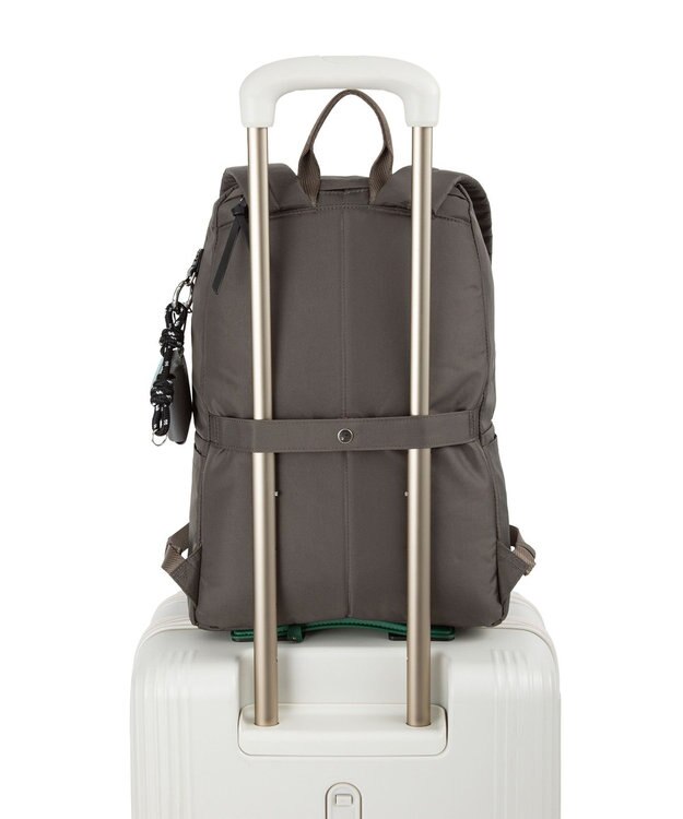 ACE BAGS & LUGGAGE HAyU × ace. フィカス リュックサック A4サイズ 19105 ハユ チャコール