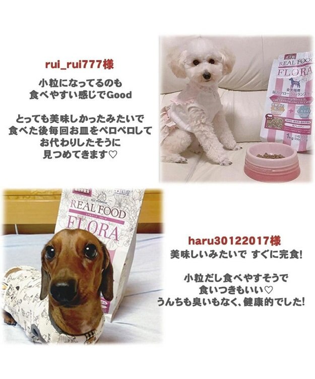 PET PARADISE ペットパラダイス  国産 ドッグフード フローラ3kg -