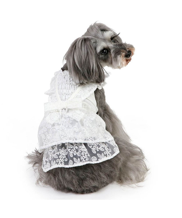 PET PARADISE ペットパラダイス レースワンピース 小型犬 ホワイト