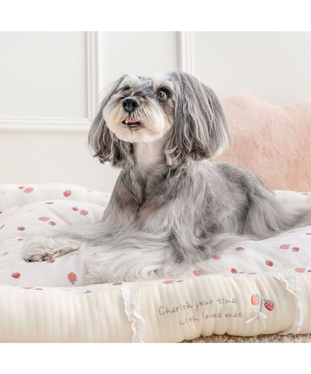 PET PARADISE ペットパラダイス カドラー 《花苺柄》　Ｌ ホワイト×レッド