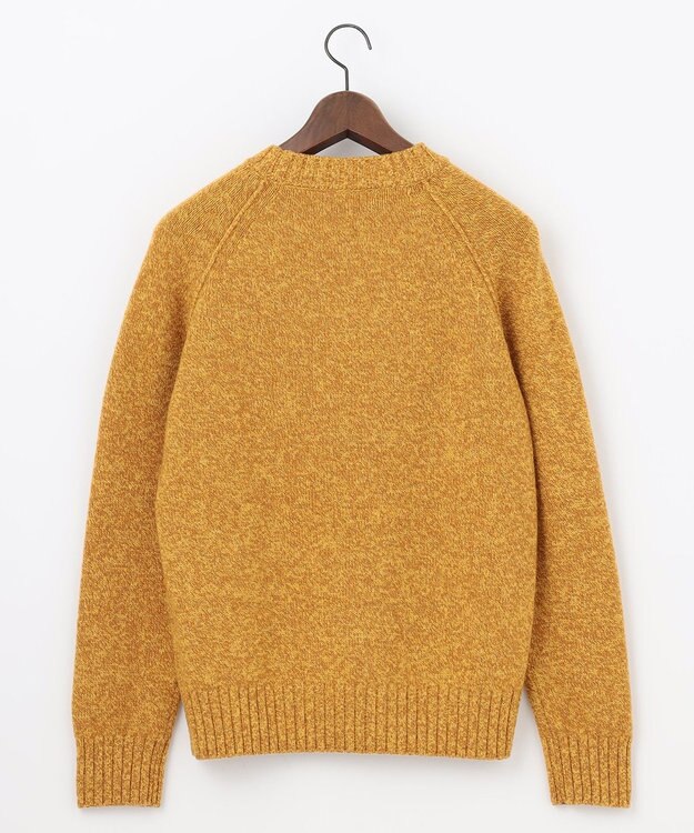 JOSEPH ABBOUD MOUNTAIN 【WEB限定・SPACE/イタリア糸使用/軽く暖かい/豊富なカラー】 ラムウール　クルーネック ニット イエロー系