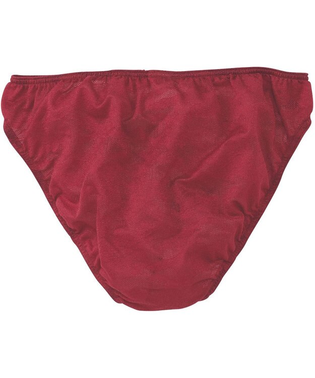 WACOAL MEN ブリーフ  【レースブリーフ】 フロント立体設計 通気性  前閉じ 下着 メンズ  GF2441 /ブロス バイ ワコールメン ワイン