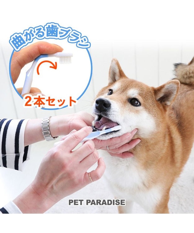 PET PARADISE 【ネット店限定】ペット用品  曲がる 歯ブラシ ２本セット  全犬種対応 白~オフホワイト
