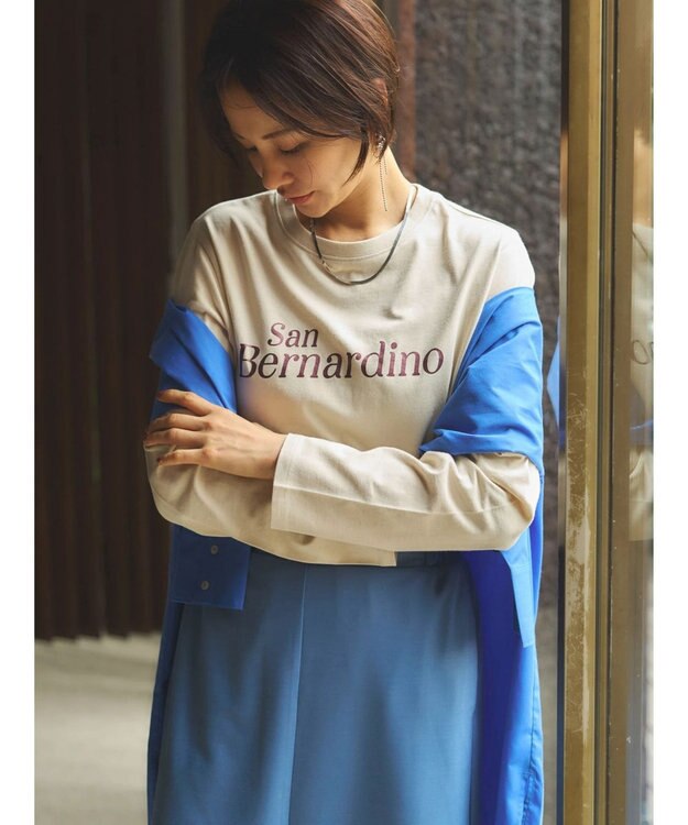 Green Parks コンパクトロゴロンＴ B