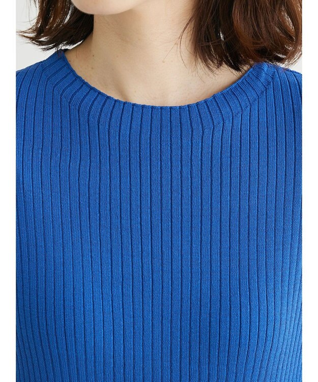 Green Parks ・Ｐｅｔｉｔ　Ｆｌｅｕｒ　フレンチスリーブリブニット Blue