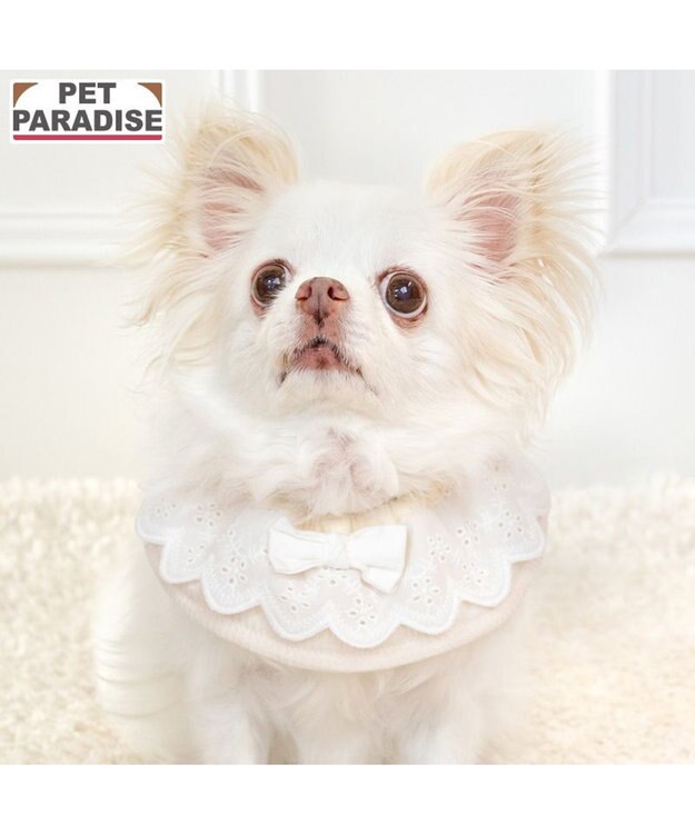 PET PARADISE ペットパラダイス フリル シュシュ スタイ 小型犬 ベージュ