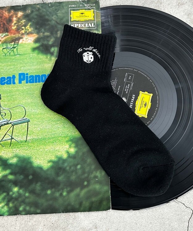 WEGO 刺繍パイルソックス（U） 柄9