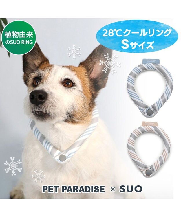 PET PARADISE クールリング 犬 クールネック ひんやり 28℃クールリング 【Ｓ】 リフレクター 水色 ベージュ  反射材付き 水色 Ｓ