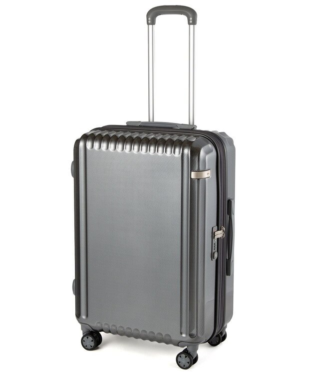 ACE BAGS & LUGGAGE ace. パリセイドZd Mサイズ 59～70L 06818 エース ブラックカーボン