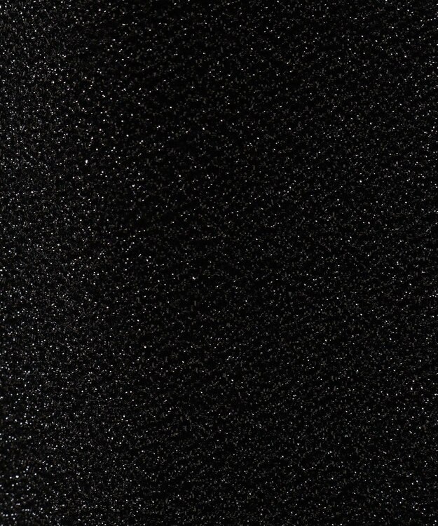 AMERICAN HOLIC ラメスカート Black