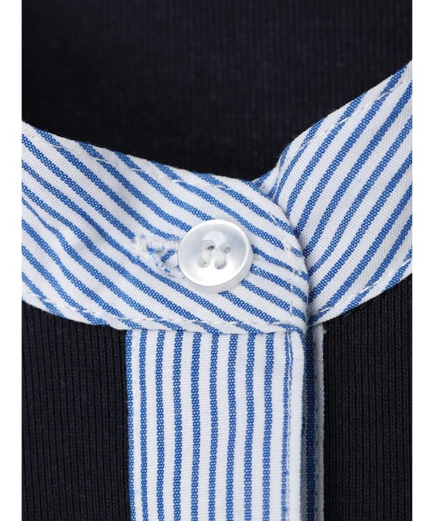 Green Parks 比翼カットドッキングチュニック Stripe Sax