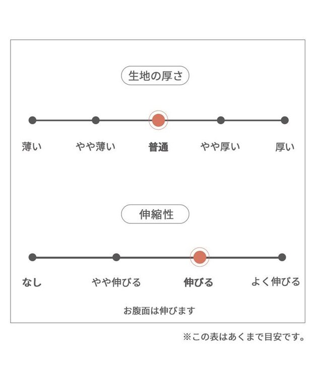 PET PARADISE リサとガスパール シンプル刺繍 Ｔシャツ 《であい柄》 小型犬 であい柄