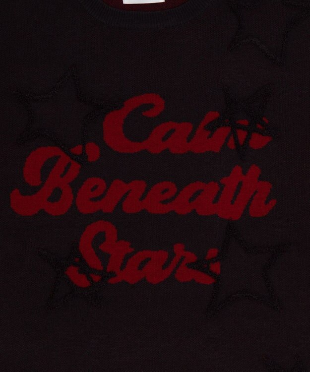 WEGO 【ユニセックス着用ITEM】パイルジャガードプルオーバー スミクロ