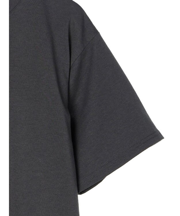 Green Parks ムジークタイガー／バックプリントＴシャツ Charcoal Gray