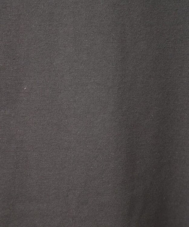 Green Parks ■ＰＥＡＮＵＴＳ　クロスステッチロンＴ Charcoal Gray