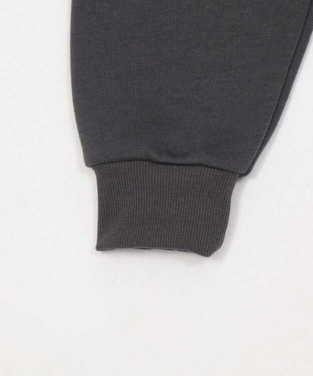 WEGO 裏起毛グラフィックビッグプルパーカー ダークグレー