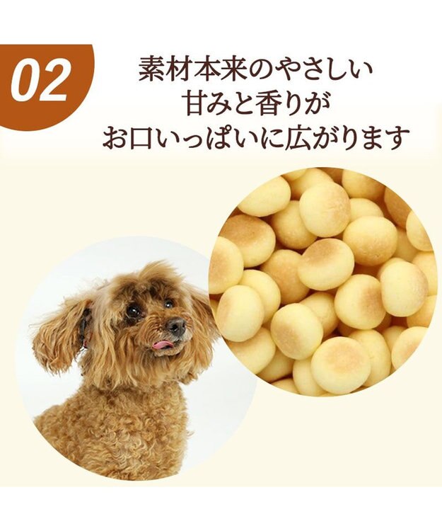 PET PARADISE かぼちゃ ボーロ 160g 大袋 -