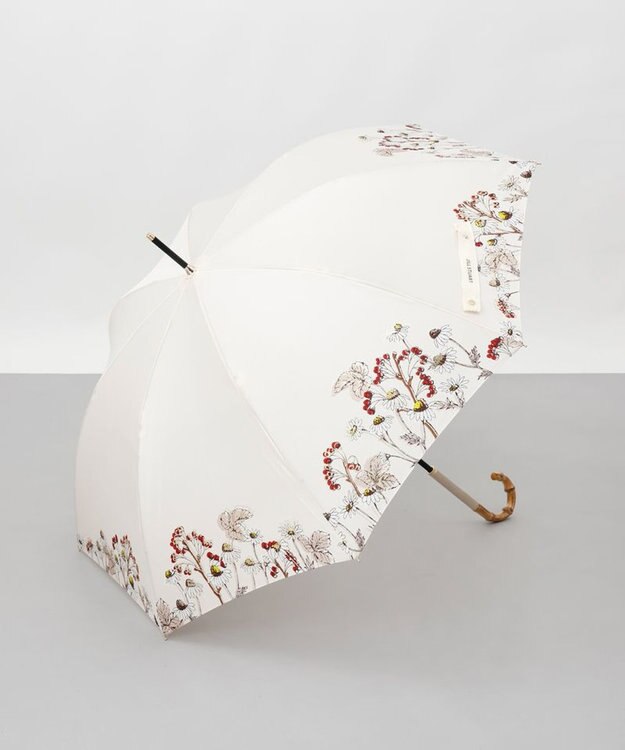 AURORA 【 JILL STUART（ジル スチュアート）】ボタニカルプリント雨傘(長傘) レッド