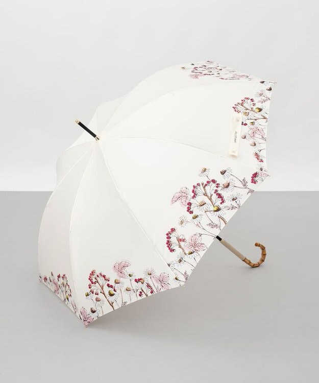 AURORA 【 JILL STUART（ジル スチュアート）】ボタニカルプリント雨傘(長傘) ピンク