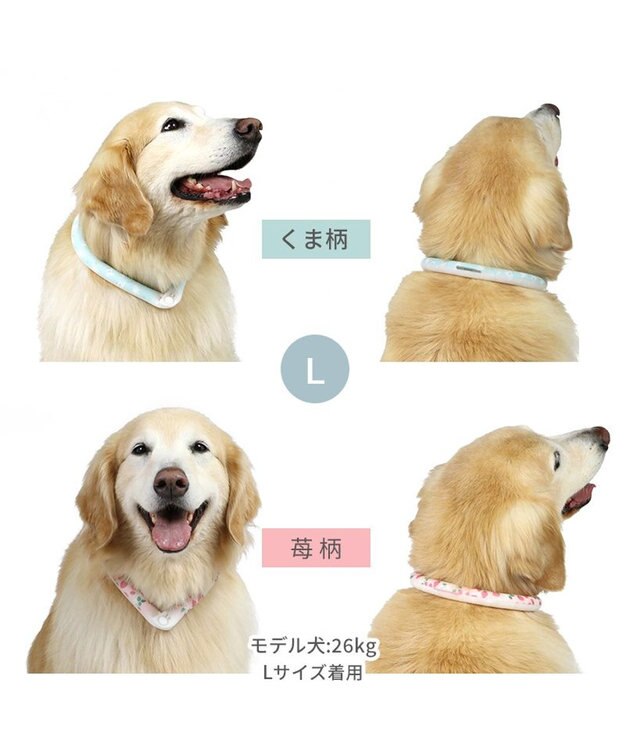 PET PARADISE ペットパラダイス 28℃クールリング SUO 《くま柄》 〔Ｌ〕 大型犬 くまちゃん