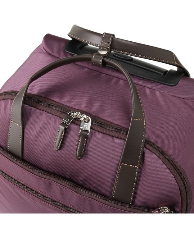 ACE BAGS & LUGGAGE プロテカ ソリエ3 カジュアル キャリーケース 29リットル 機内持ち込み対応サイズ キャスターストッパー付き 1泊程度の旅行に最適な2本手ハンドル・枠なしタイプ 12882 パープルワイン