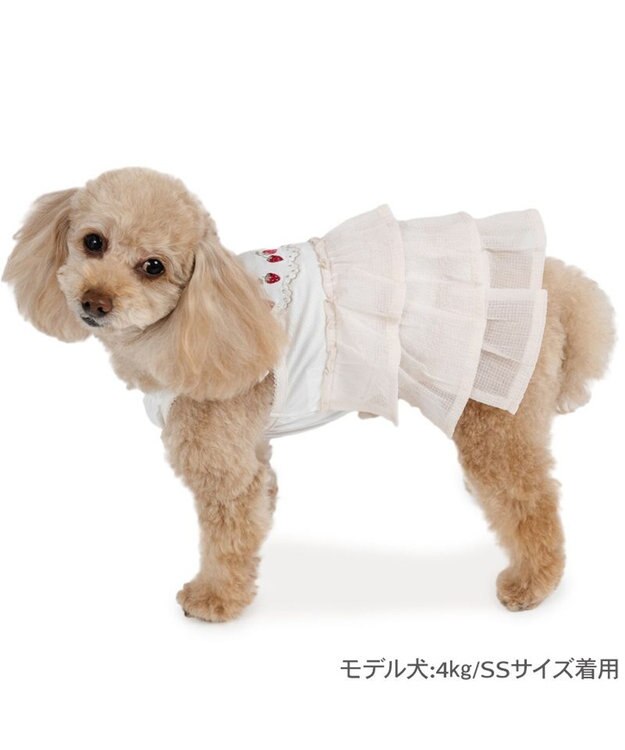 PET PARADISE ペットパラダイス エコメッシュ キャミソール 《苺刺繍》 小型犬 ホワイト×ピンク